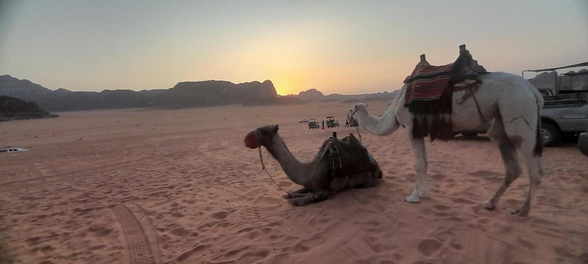Desert Star Camp 瓦迪拉姆 外观 照片
